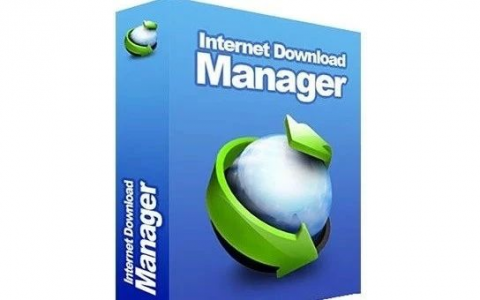 【正版软件】Internet Download Manager (IDM) 极速下载工具永久版，立减30元！