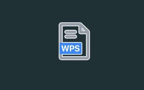 WPS 2019专业版+WPS海外版+WPS安卓海外版，免激活无广告